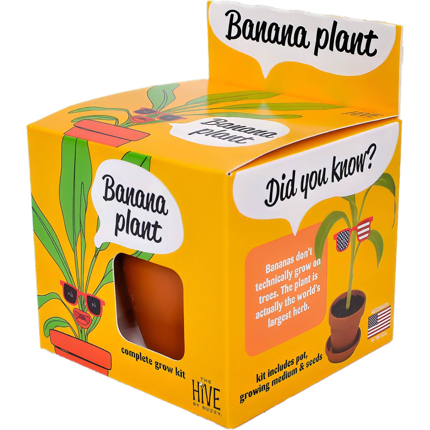 Buzzy Seeds Grow Gifts - Exotic Banana Plant Grow Kit | Indoor