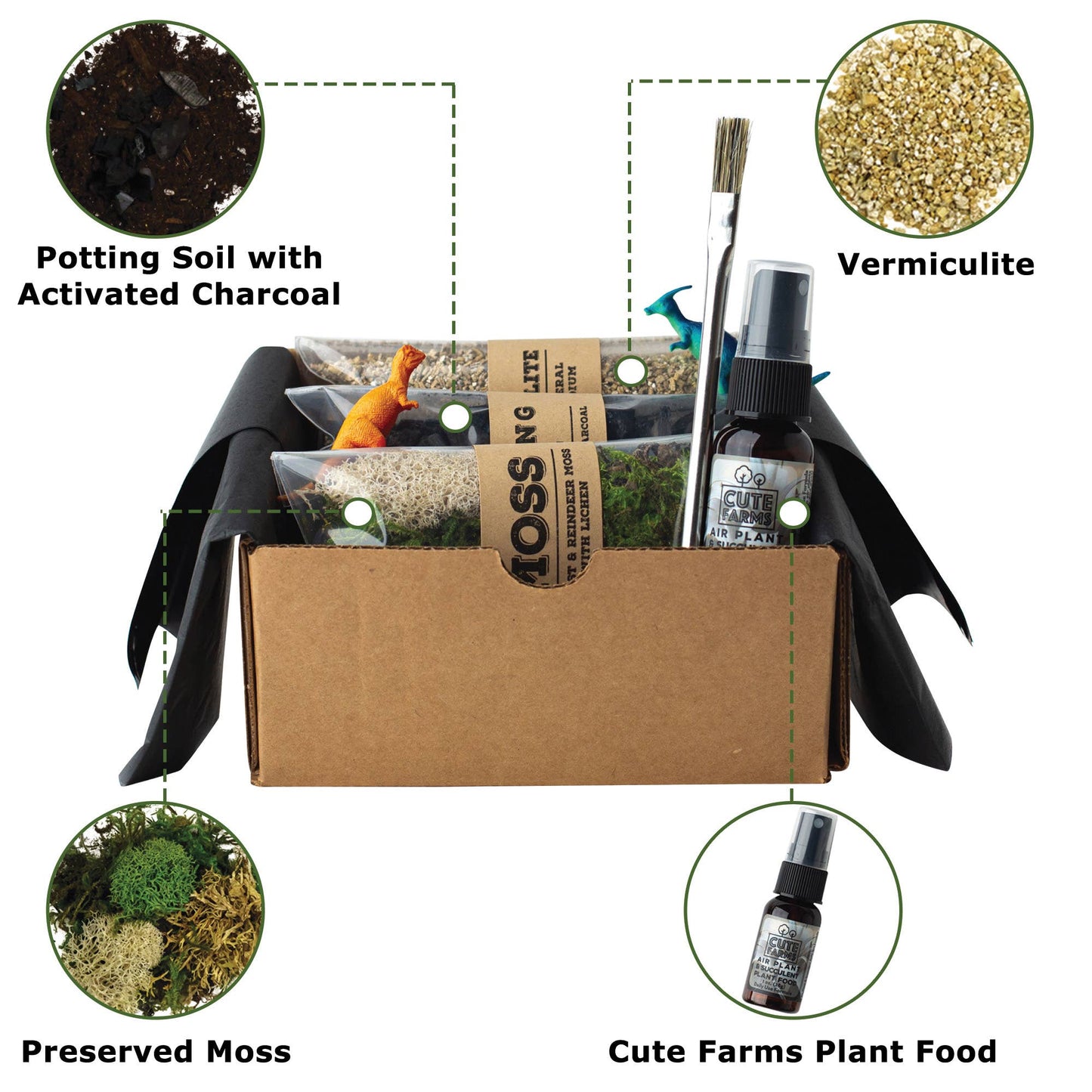 Cute Farms - Terrarium Starter Kit