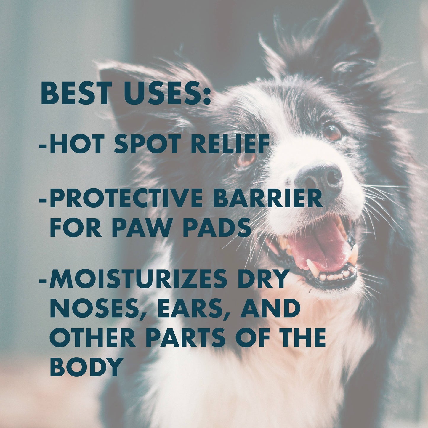 Pure + Good - Dog & Cat S.O.S. All Over Healing Balm