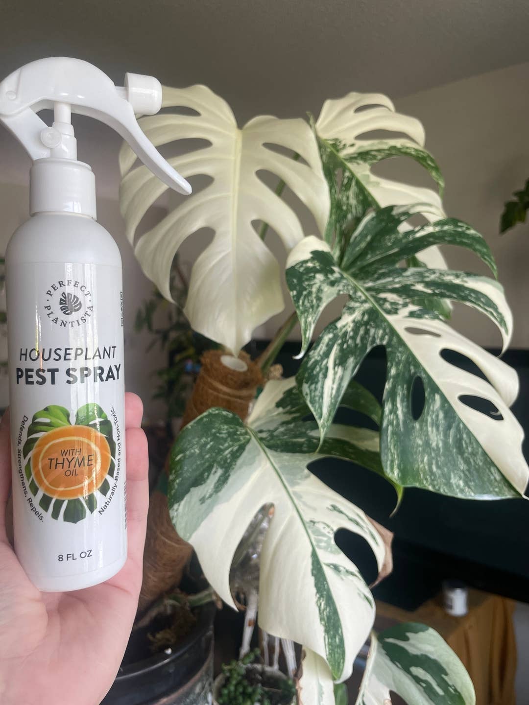 Perfect Plantista - Natural + Non-Toxic Houseplant Pest Spray: 16oz
