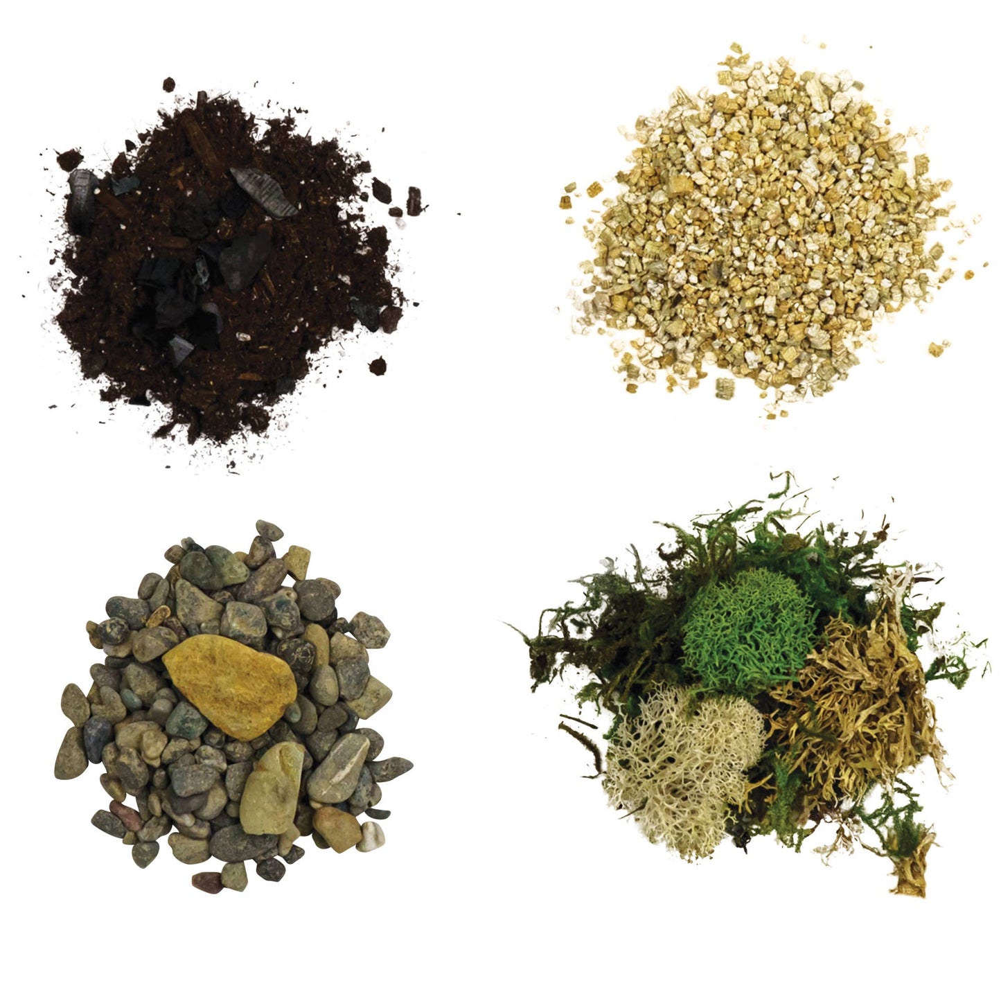 Cute Farms - Large Terrarium Kit