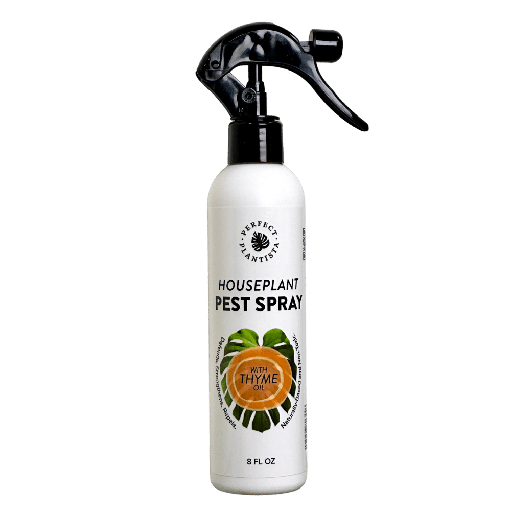 Perfect Plantista - Natural + Non-Toxic Houseplant Pest Spray: 16oz