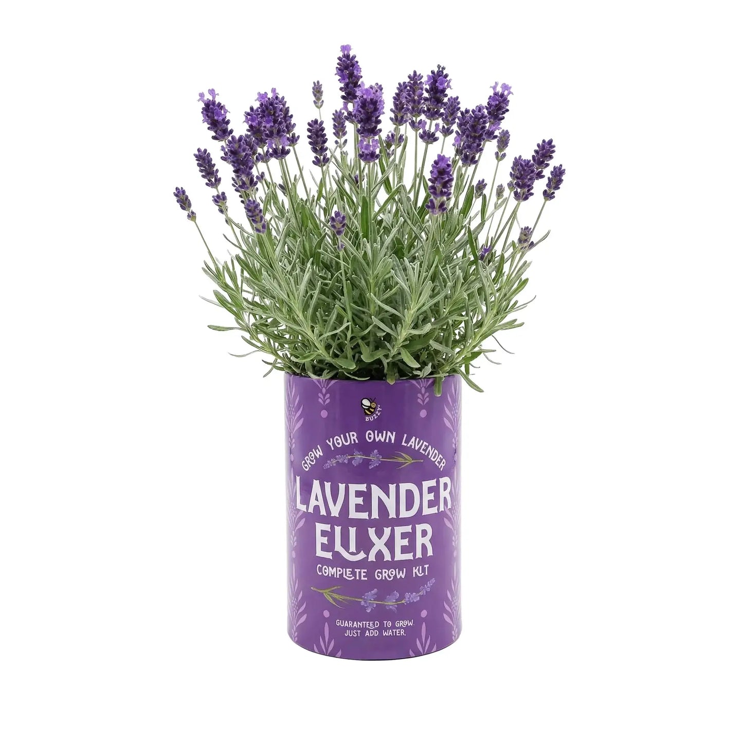 Buzzy Seeds Grow Gifts - Soda Can Flower Grow Kit