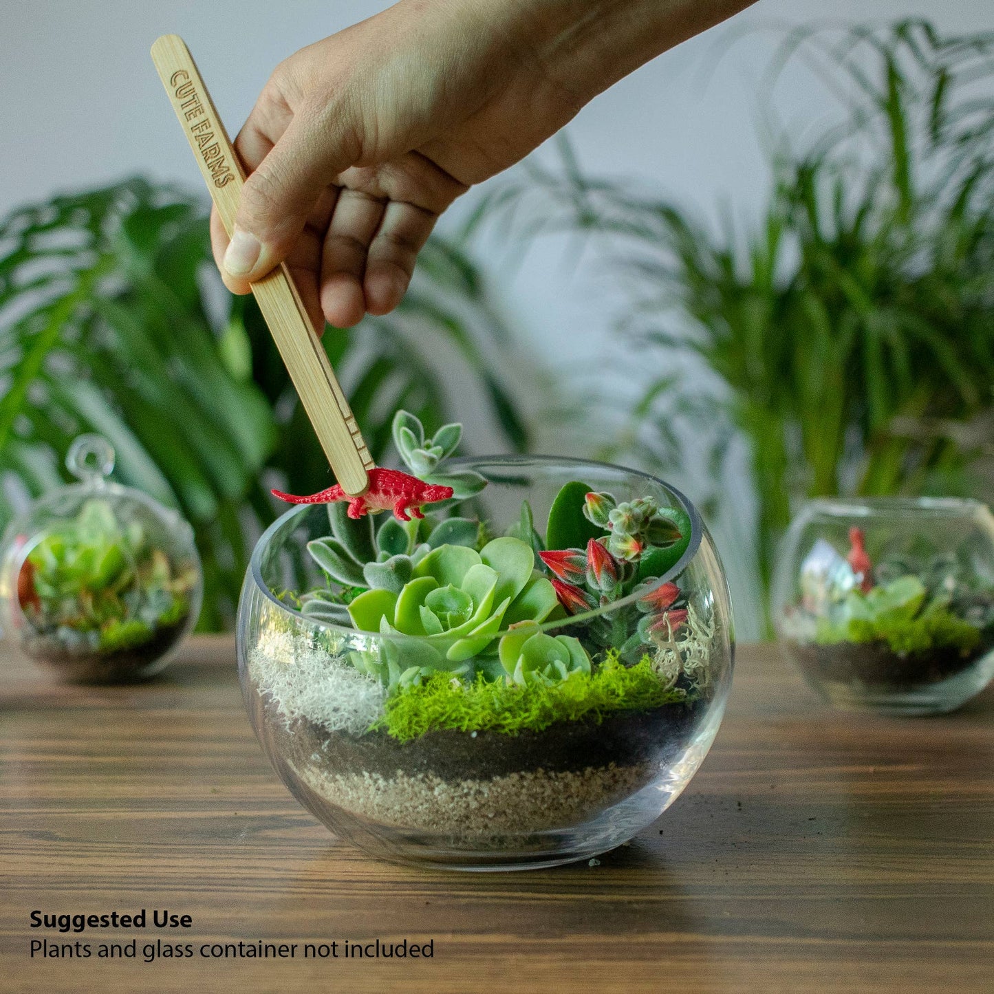 Cute Farms - Large Terrarium Kit