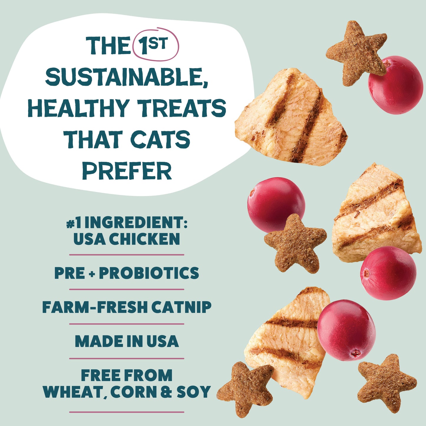 Shameless Pets - Cran U Say Chicken Crunchy Cat Treats