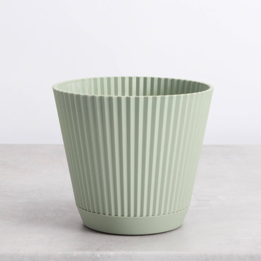 Thorsen's Greenhouse - Decorative Ruffled Pot for Plants