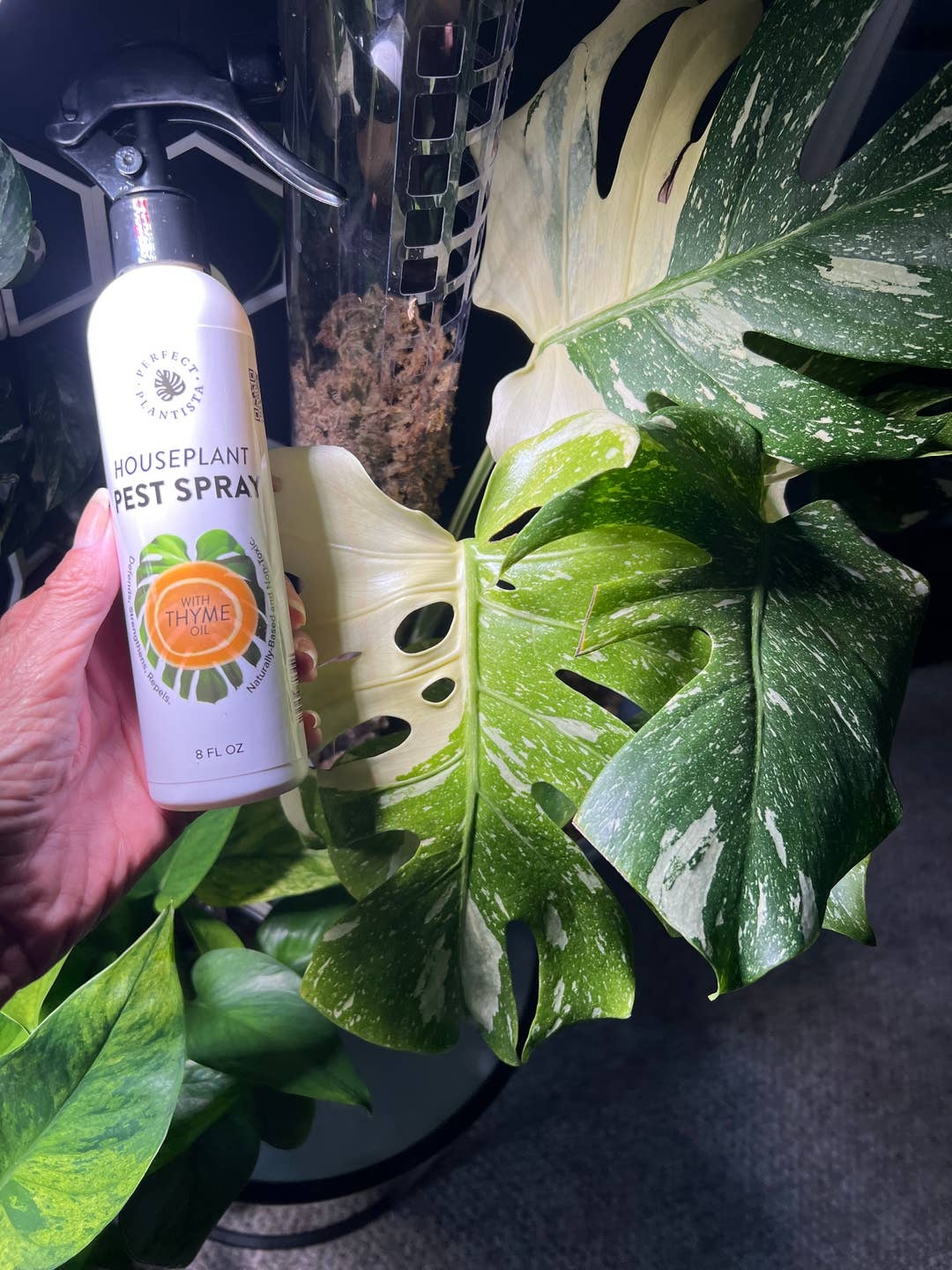 Perfect Plantista - Natural + Non-Toxic Houseplant Pest Spray: 16oz