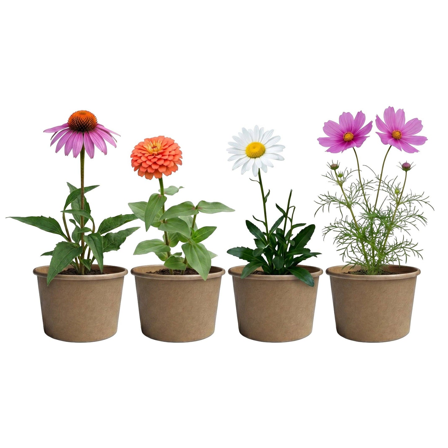 Buzzy Seeds Grow Gifts - Save The Bees Kits | Paper Cups | Pollinator Seeds