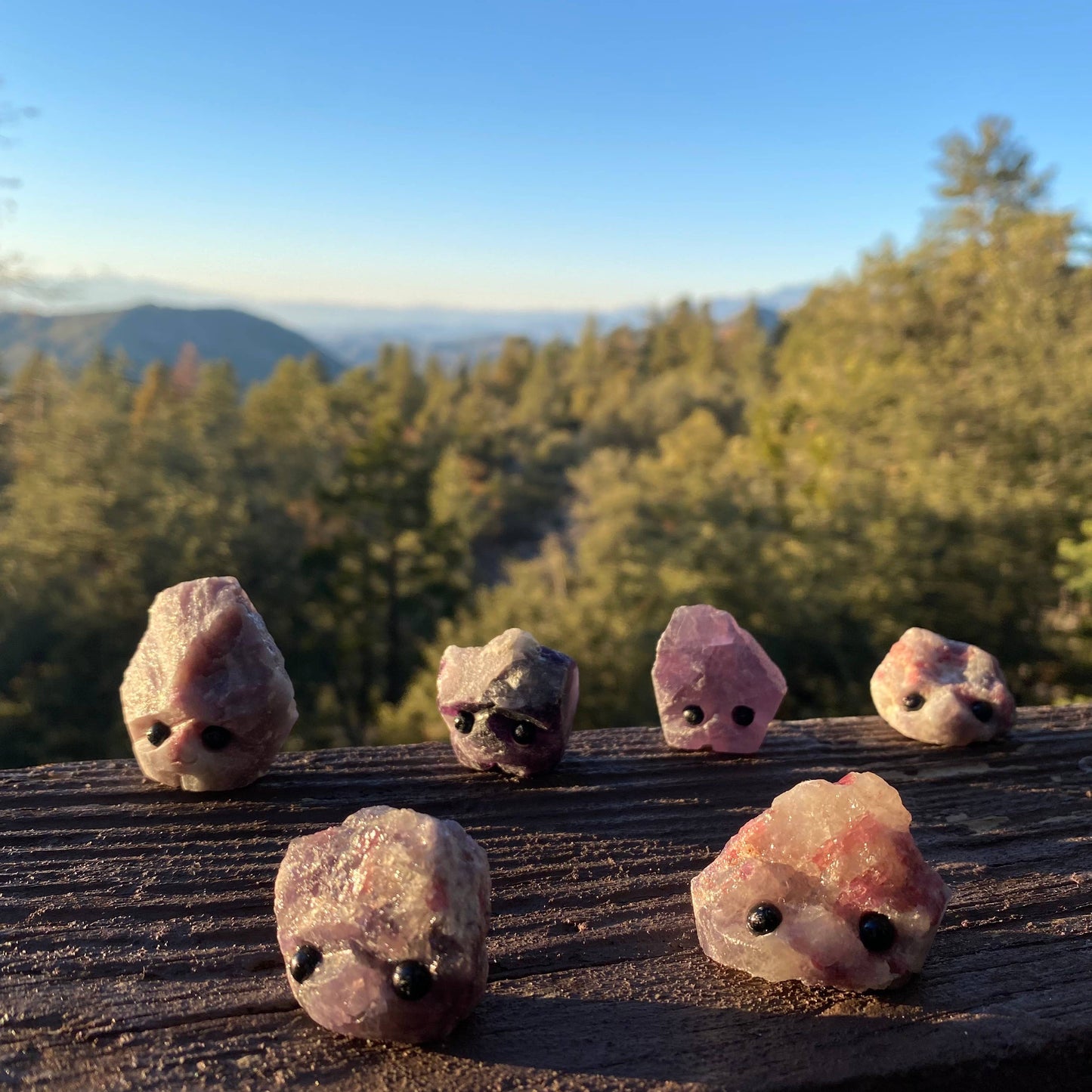 Wax Apothecary - Stone Buddies & Rock Friends 🪨✨: All Greens - Abundance Mix