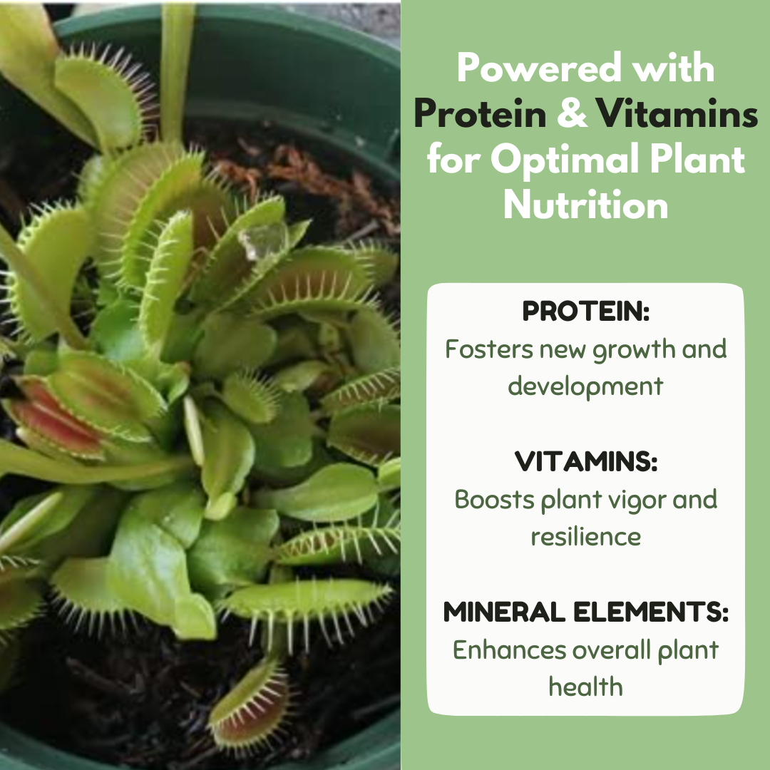 bloomify - Carnivorous Plant Food, Designed for Venus Flytraps, Sundews and Pitcher Plants, 2.5oz