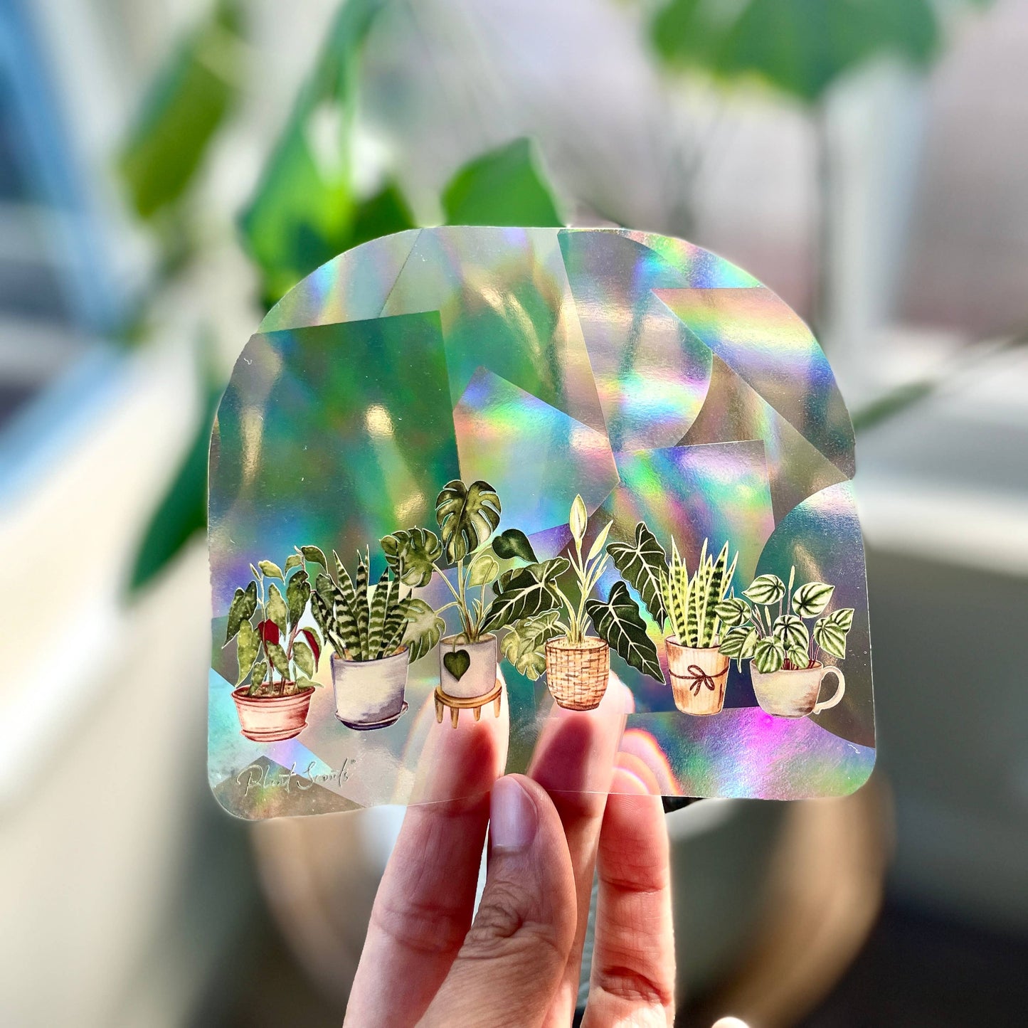 Plant Scouts - Suncatcher Window Decal Sticker Crystal - Potted Plant