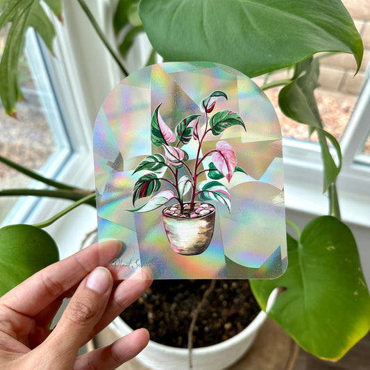 Plant Scouts - Suncatcher Window Decal - Pink Princess Philodendron