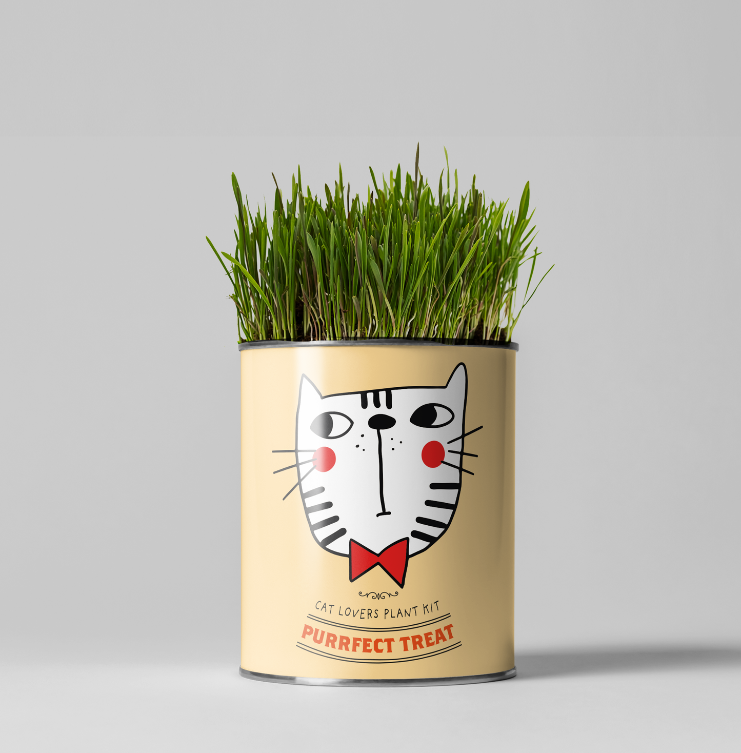 The Plant Gift Co. - Purrfect Treat. Eco Grow Your Own Plant Kit.