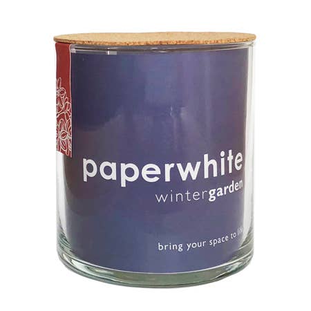 Potting Shed Creations, Ltd. - Essential | Paperwhite Winter Garden