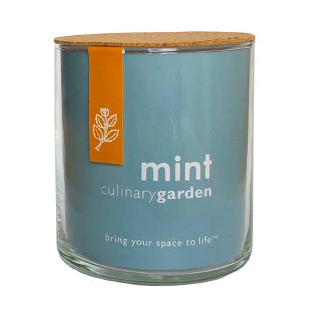 Potting Shed Creations, Ltd. - Essential | Mint Culinary Garden