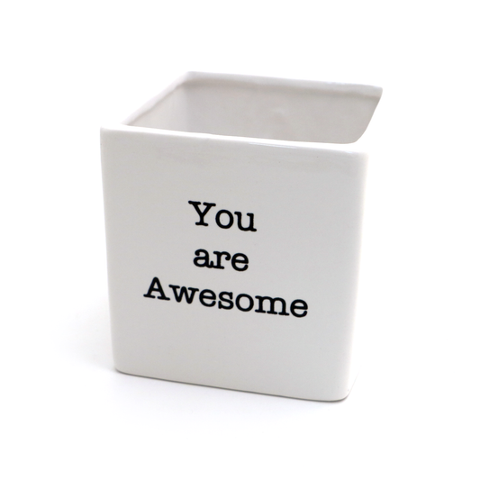 Lenny Mud - You Are Awesome, planter, candle holder, pencil cup