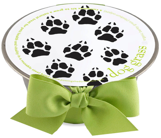 Potting Shed Creations, Ltd. - Pet Bowl | Dog Grass