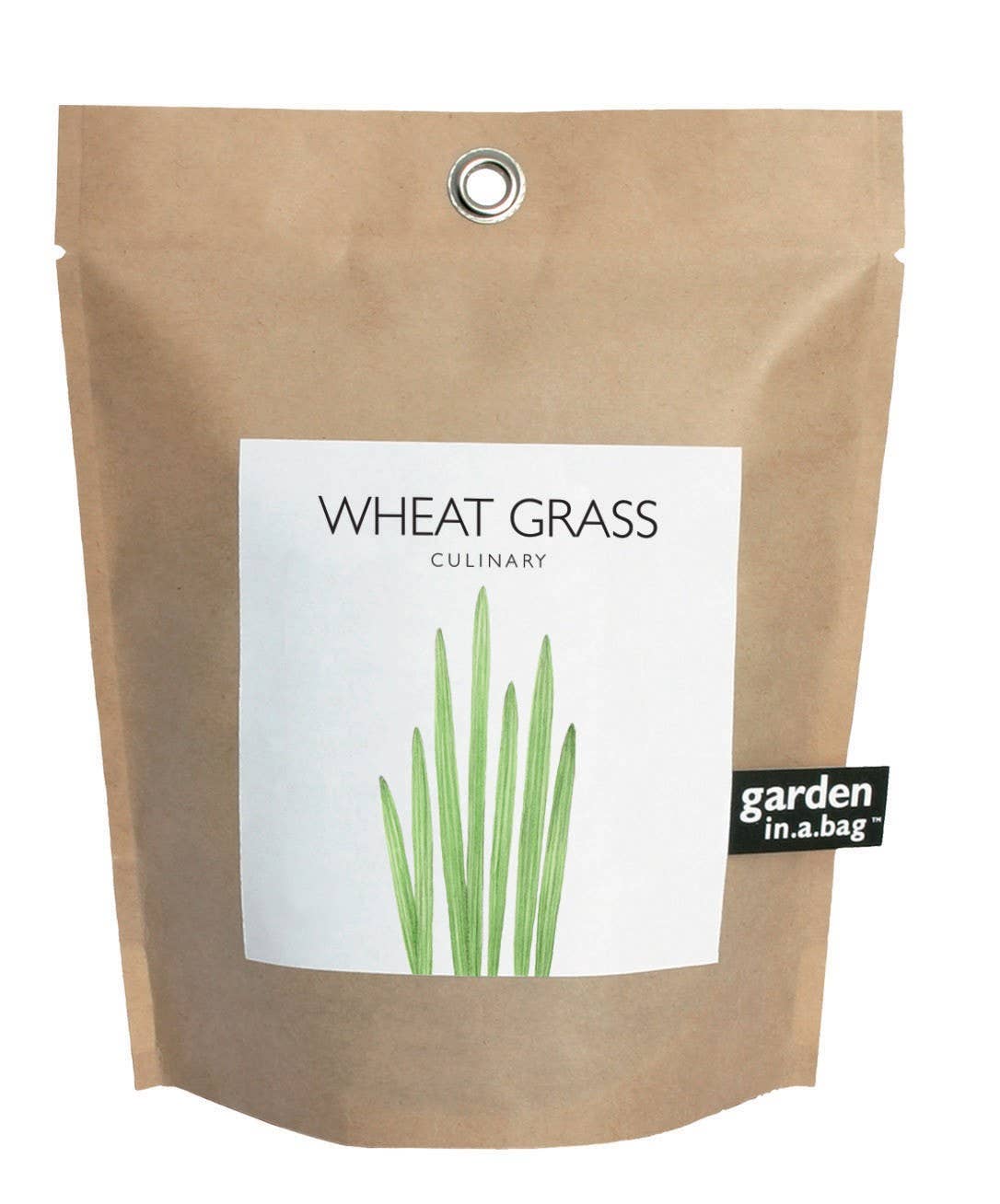 Potting Shed Creations, Ltd. - Garden in a Bag | Wheat Grass