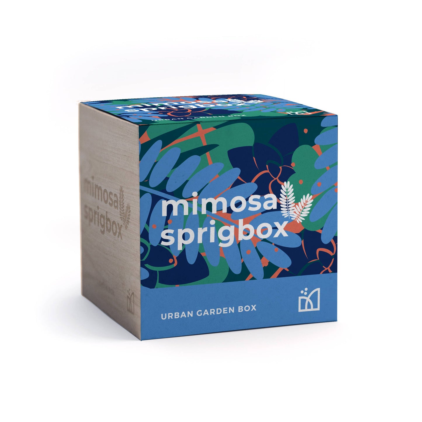 Sprigbox - Mimosa Grow Kit