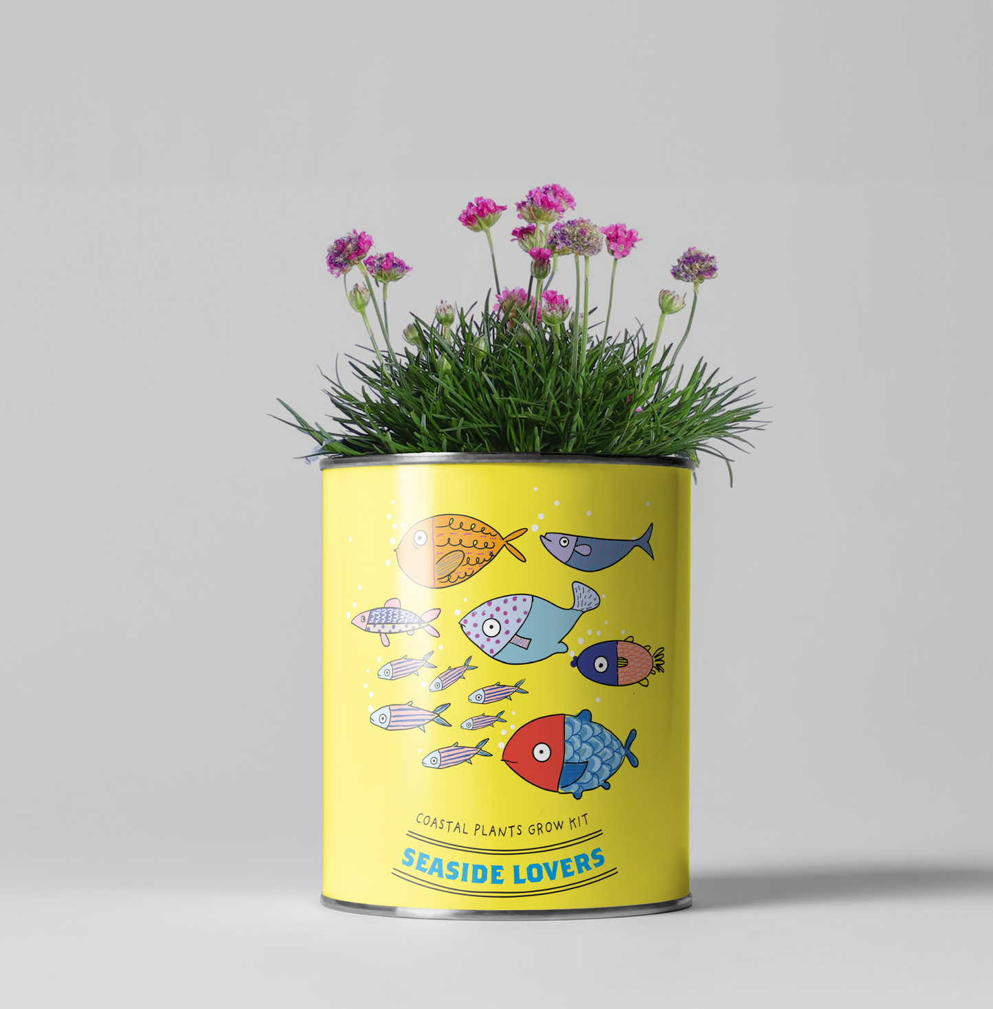 The Plant Gift Co. - Seaside Lovers. Eco Grow Your Own Plant Kit