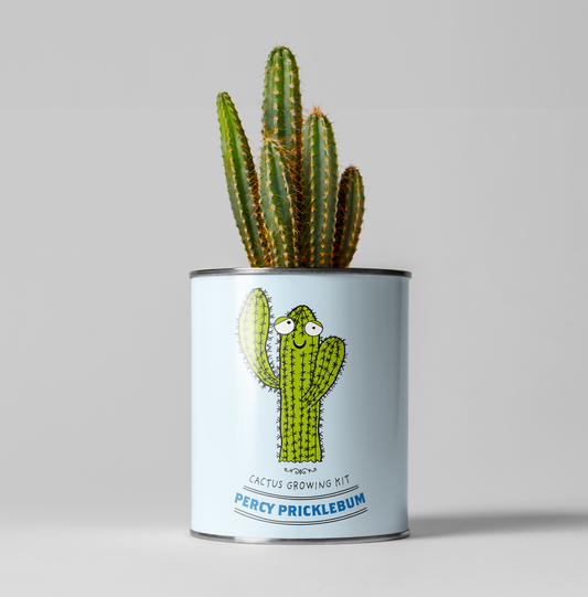The Plant Gift Co. - Percy Pricklebum. Eco Grow Your Own Cactus Kit