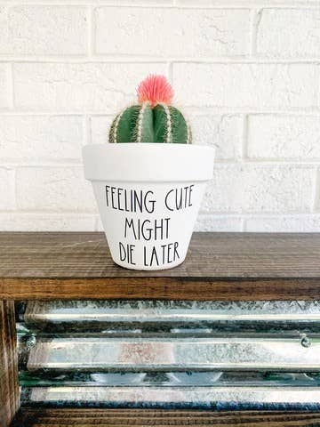 AloneThymeDesigns - Feeling Cute Might Die Later Plant Pot