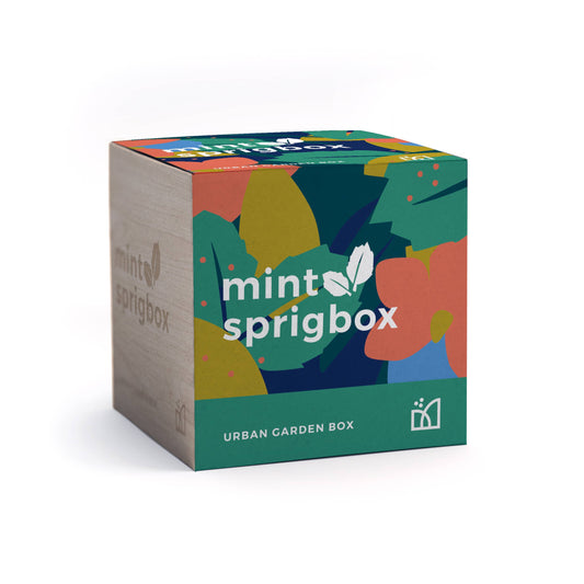 Sprigbox - Mint Grow Kit