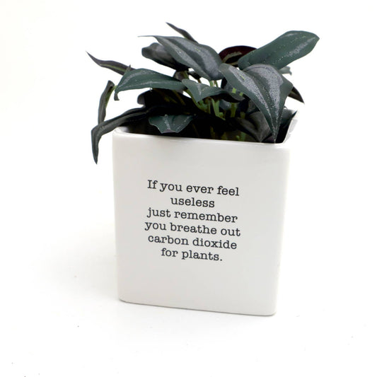 Lenny Mud - Useful planter, inspirational gift