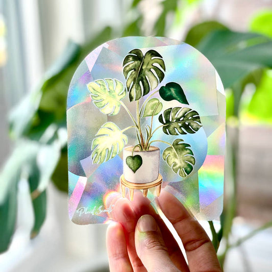 Plant Scouts - Monstera Suncatcher