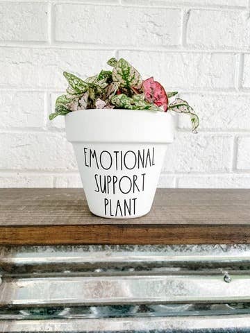 AloneThymeDesigns - Emotional Support Plant Pot