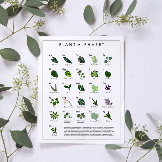 Plant Scouts - Plant Alphabet Poster - House Plant Love