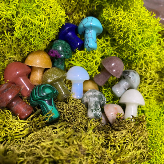 🍄 Crystal Mini Mushroom Stone Assortment 🍄