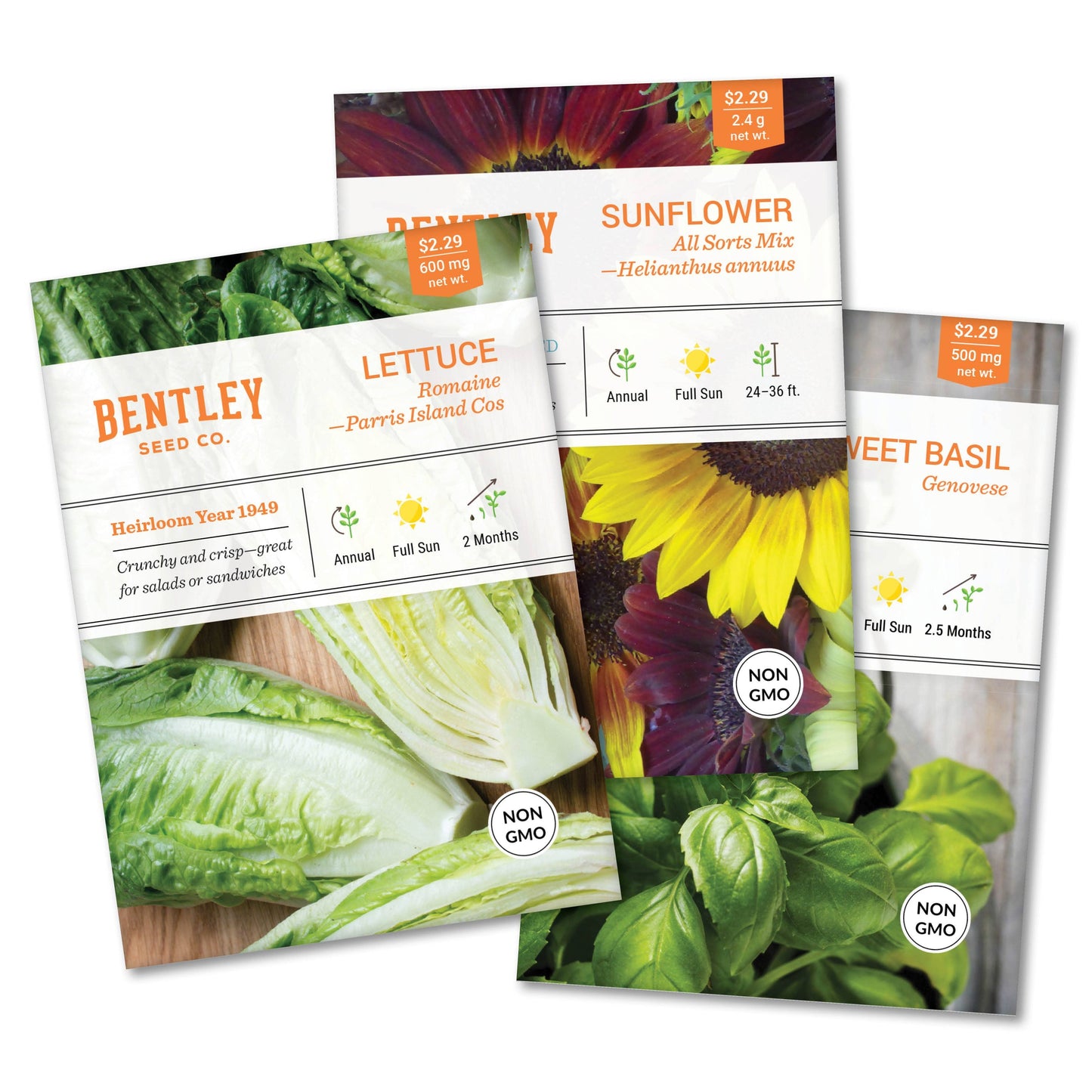 Bentley Seed Co. - Assorted Vegetable Seed Packet