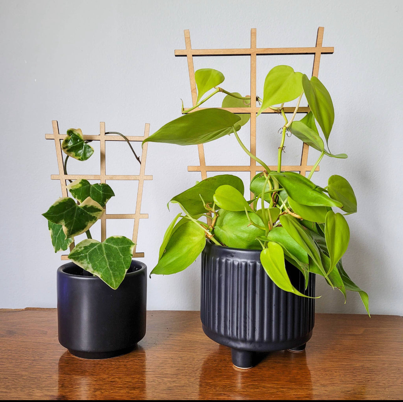 Leaf & Node - Ladder Indoor Wooden Plant Trellis (2 Sizes Available)